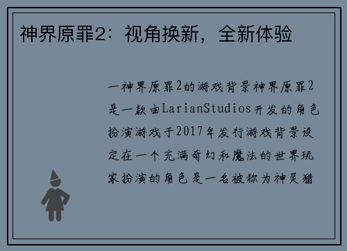 神界原罪2：视角换新，全新体验